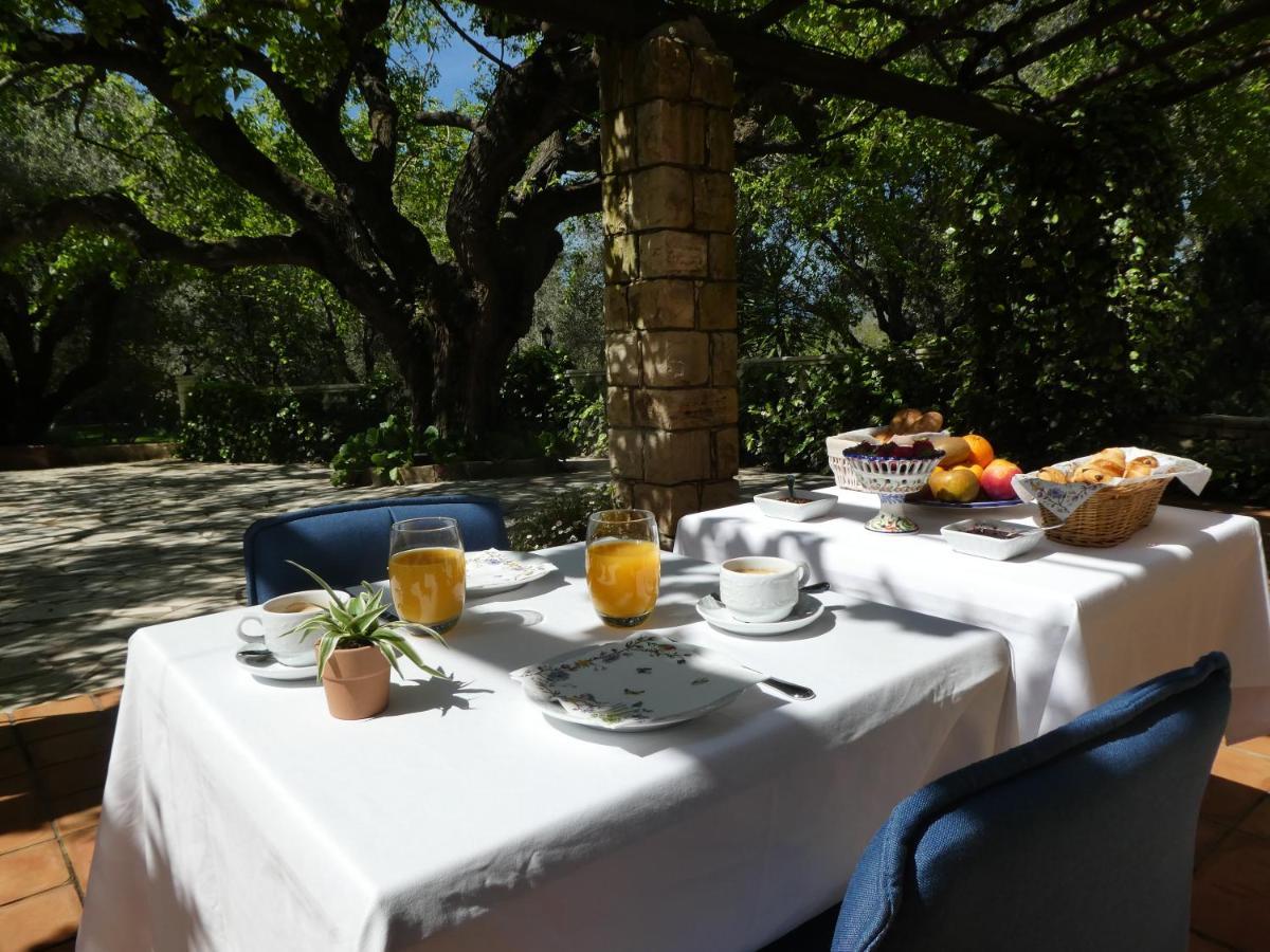 Domaine Du Paradis Des Oiseaux Mougins Zewnętrze zdjęcie